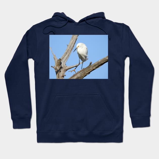 Snowy egret, wild birds, wildlife gifts Hoodie by sandyo2ly